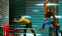 Cười vỡ bụng mới màn so găng của hai chú tinh tinh 